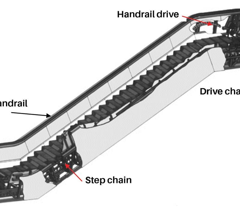 The Effects of Reversing the Direction of an Escalator