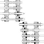 A-New-Compact-Mrl-Hydraulic-Lift-For-Mid-Rise-Buildings-Figure-2