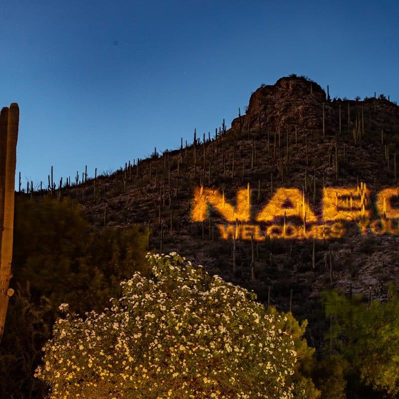 NAEC’s 2021 Educational Conference