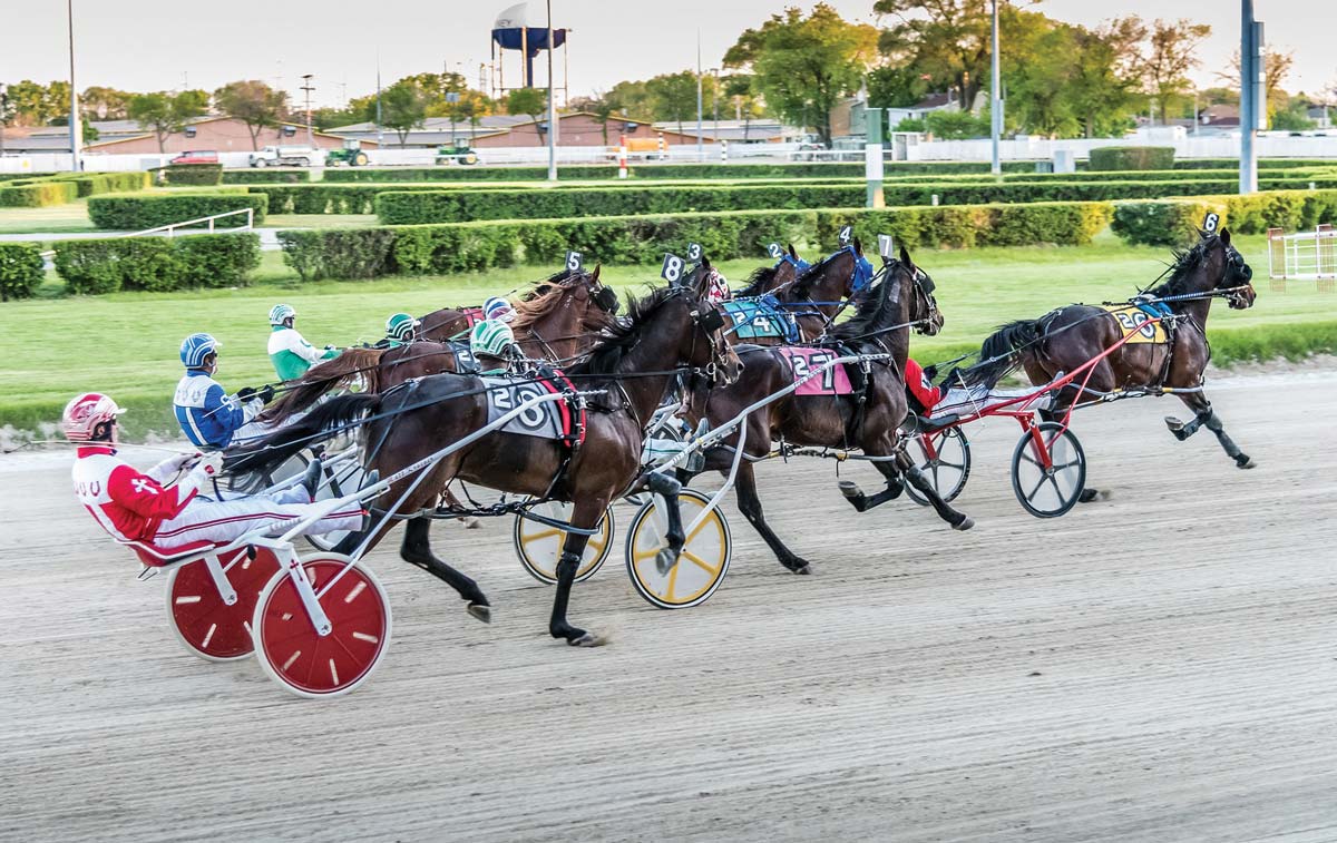 Second Annual Night at the Races