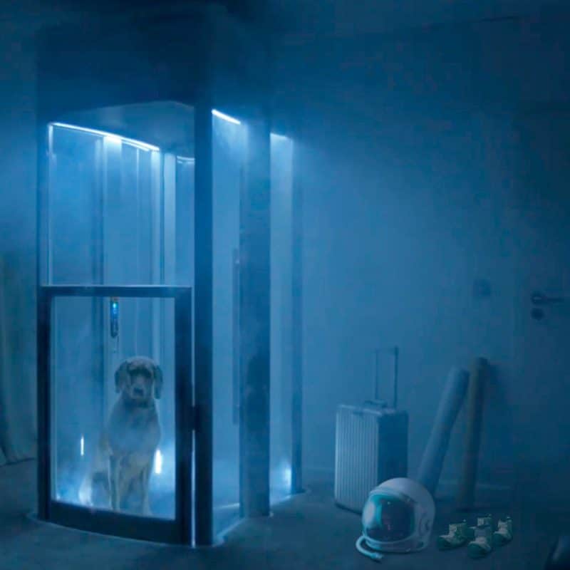 Astro-Dog-Apollo-Lifts-Off-for-First-Ever-Space-Walkies