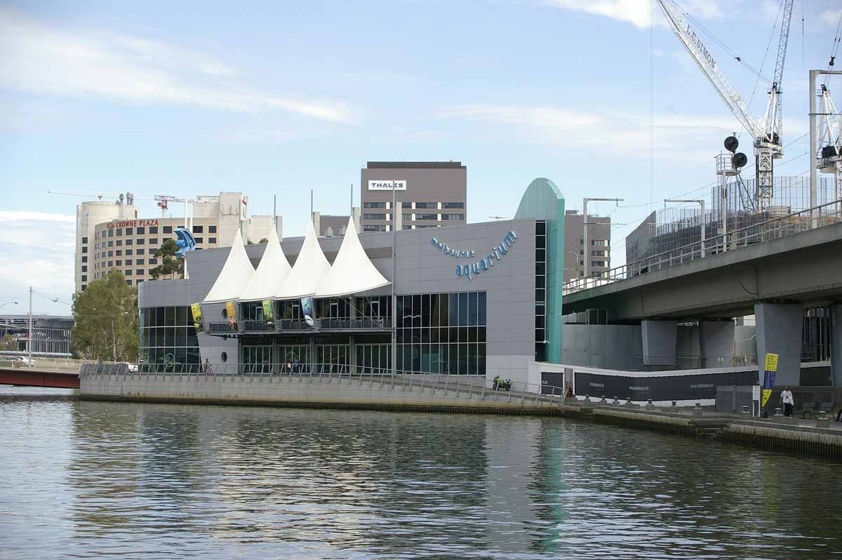  An image of a modern aquarium building with a large glass window reflecting the city skyline and a family walking by.