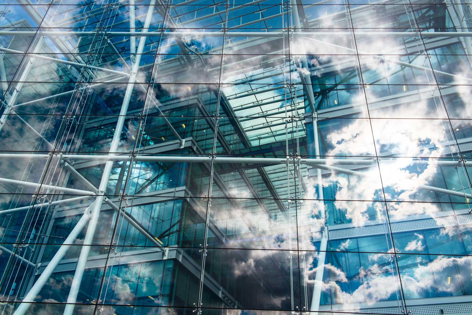Elevators and the Environment