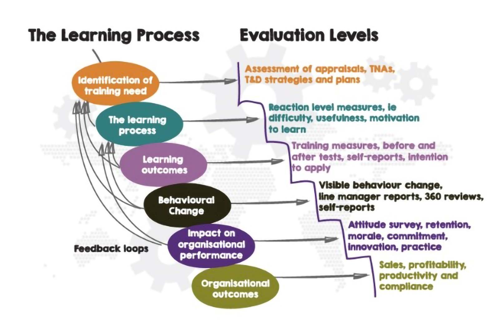 What’s the Impact of Your Training?