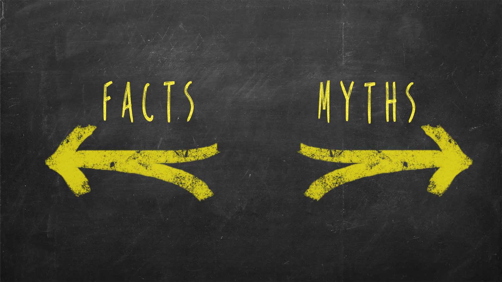 Myths and Realities on Elevator Safety
