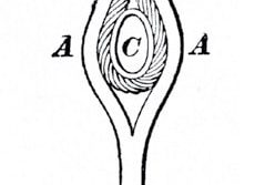 A-Brief-History-of-Elevator-Wire-Ropes,-Part-One-Figure-1