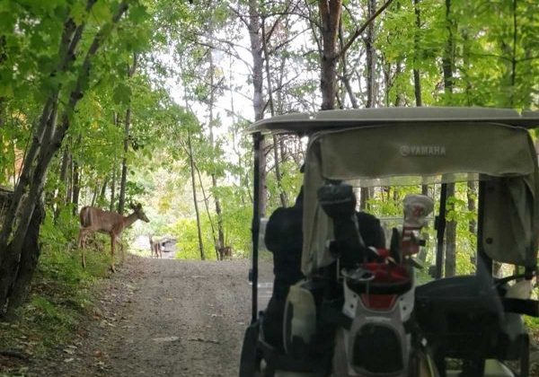 Back to Nature, Back Together
