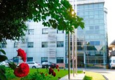 Company-Spotlight-Shanghai-BST
