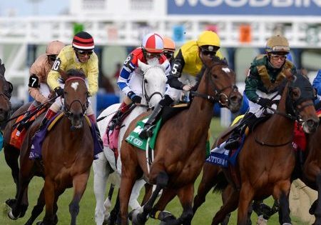 The fundraising event is planned at Woodbine Racetrack in Etobicoke, Ontario, on August 22; image courtesy of Woodbine Racetrack. 