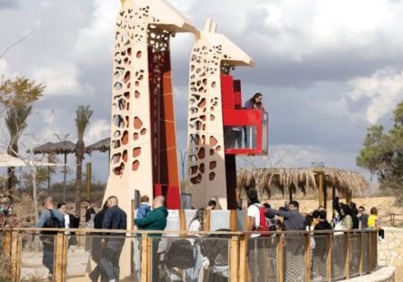 The giraffe elevator at the Beersheba Midbarium (image courtesy of Diego Mittelberg)