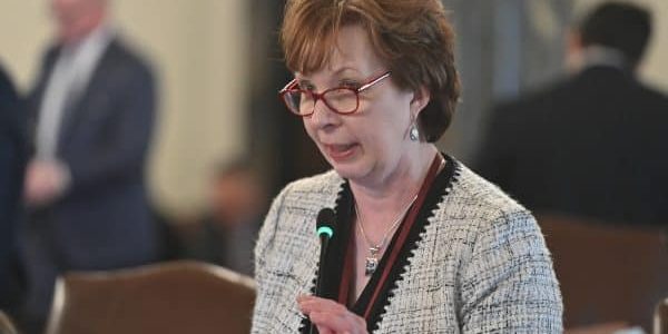 :  Illinois State Senator Ann Gillespie; image courtesy of Illinois Senate Democrats