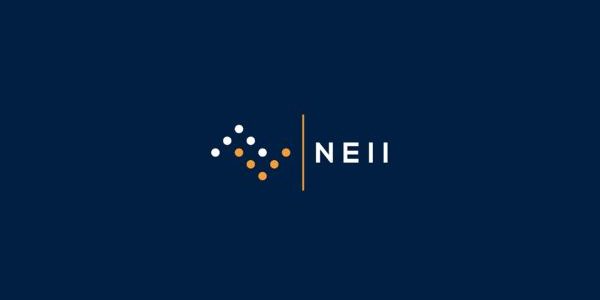 NEII Provides Code Development Updates, Recent Adoptions