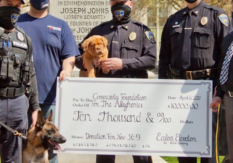 Police Dogs Offer Hope After Tragedy