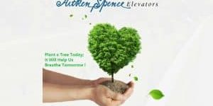 Sri Lanka's Aitken Spence Elevators Plants 1,000 Trees