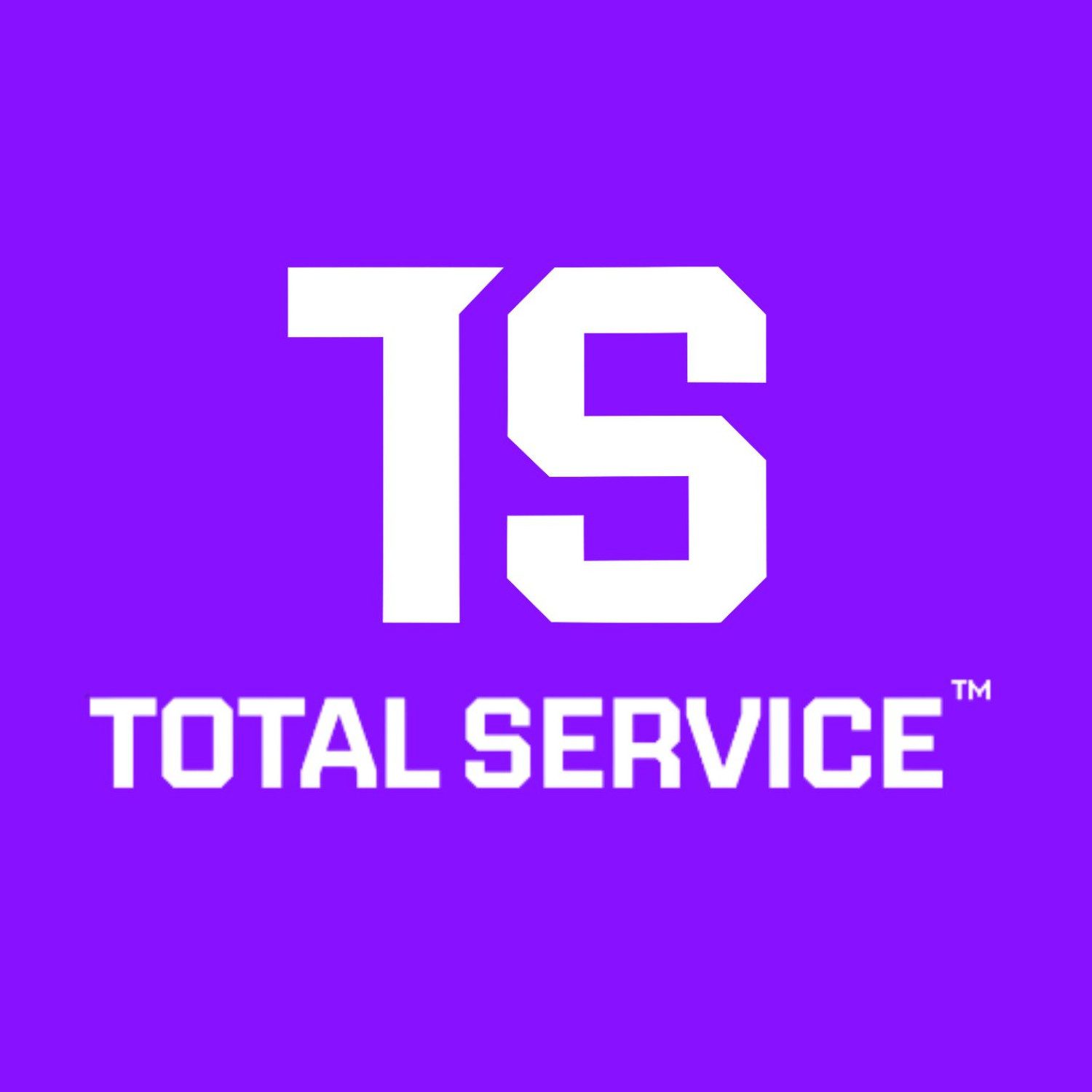 TS Logo TS Logo