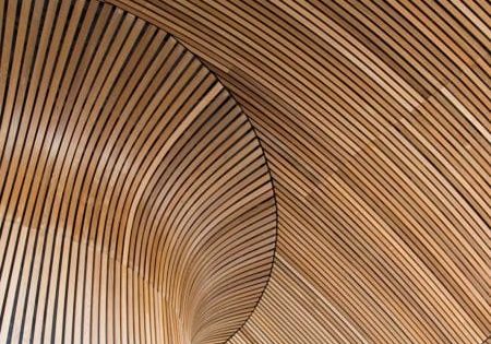 Wooden ceiling of Wales Assembly Government building in Cardiff Bay. Architecural details.